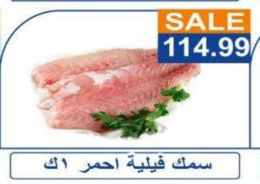available at Hyper El Hawary in Egypt - Cairo