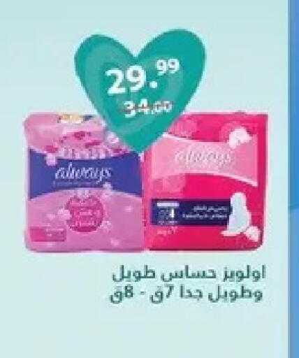 available at Al Habib Market in Egypt - Cairo