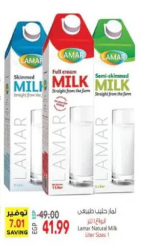 available at El.Husseini supermarket  in Egypt - Cairo