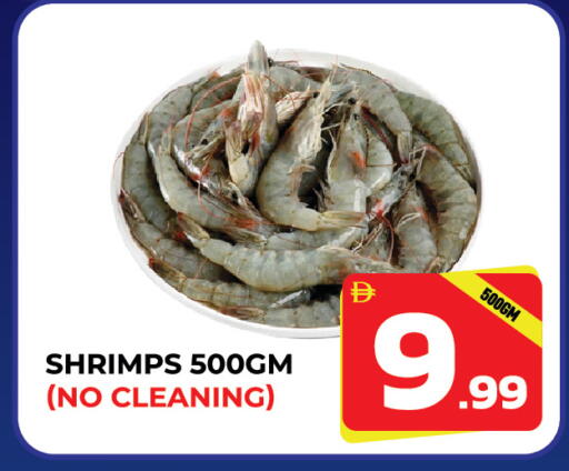 available at دريم لاند in الإمارات العربية المتحدة , الامارات - الشارقة / عجمان