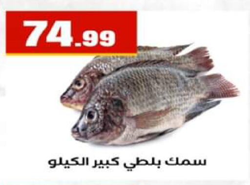 available at El Mahlawy Stores in Egypt - Cairo