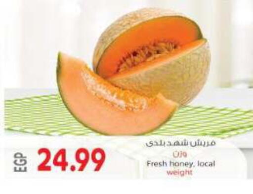 available at New.Penny.market in Egypt - Cairo