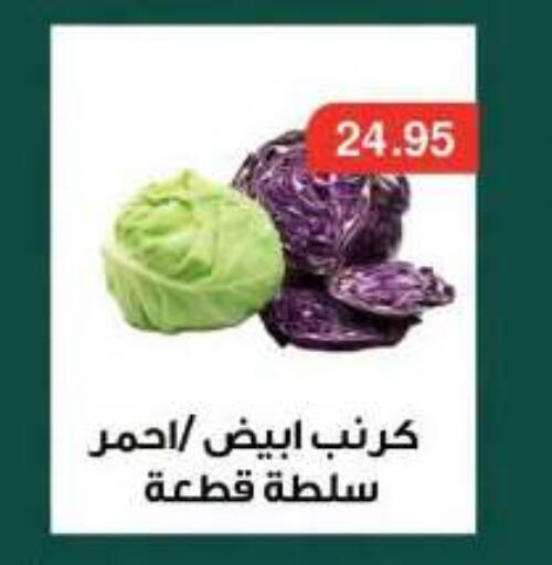 available at Dlina Market in Egypt - Cairo
