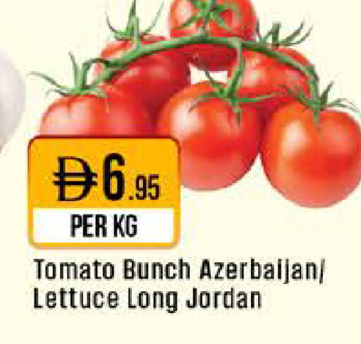 Tomato Lettuce from Azerbaijan Jordan available at West Zone Supermarket in UAE - Abu Dhabi