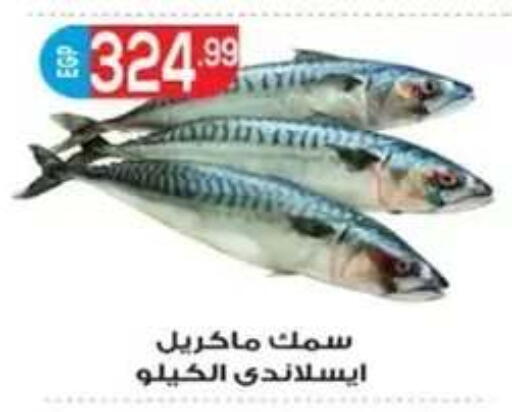 available at أولاد المحاوى in Egypt - القاهرة