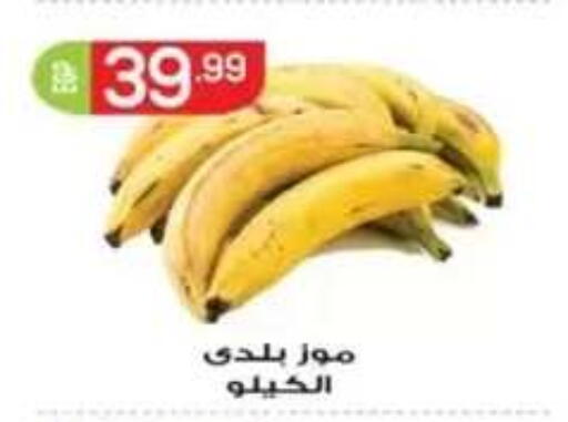 available at أولاد المحاوى in Egypt - القاهرة