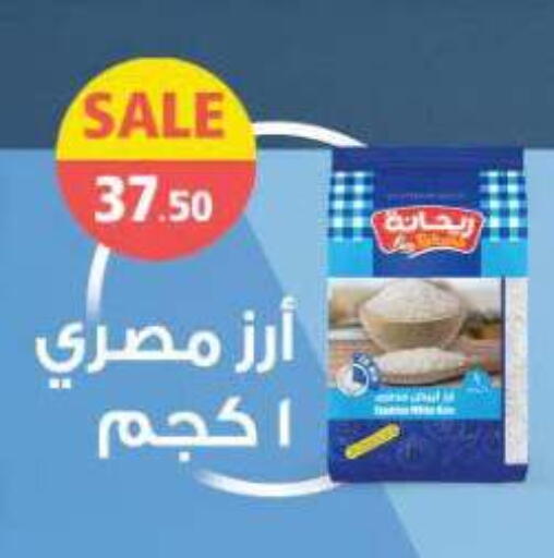 available at New.Penny.market in Egypt - Cairo