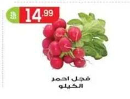 available at أولاد المحاوى in Egypt - القاهرة
