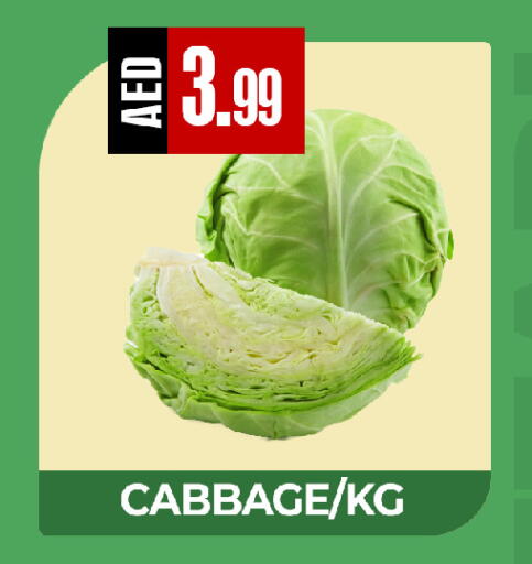 Cabbage available at  RIVIERA SUPERMARKET L.L.C in UAE - Abu Dhabi