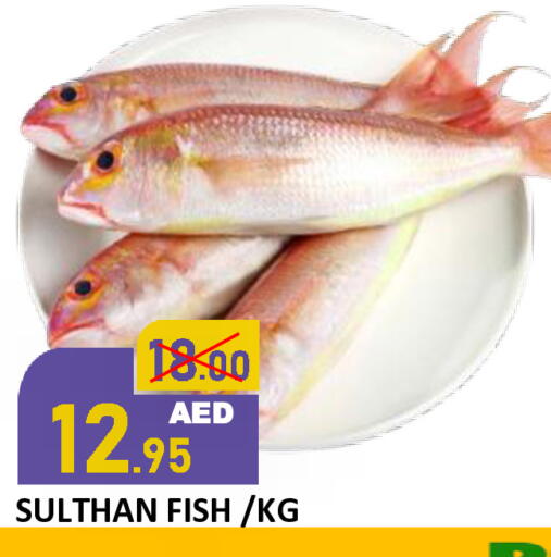 available at رويال جلف هايبرماركت in الإمارات العربية المتحدة , الامارات - أبو ظبي