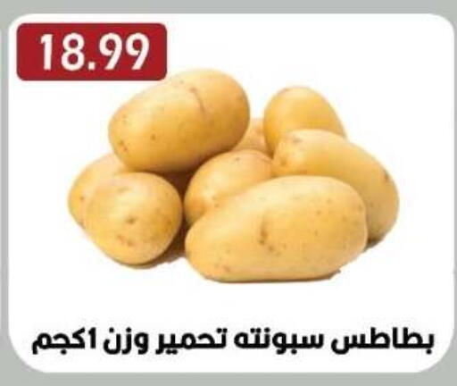 available at Euromarche in Egypt - Cairo