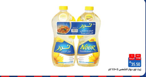 available at شبرا الطائف in مملكة العربية السعودية, السعودية, سعودية - الطائف