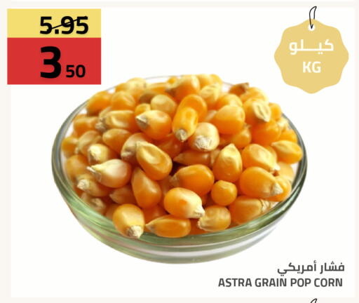 available at أسواق أسترا in مملكة العربية السعودية, السعودية, سعودية - تبوك