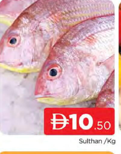 available at AL MADINA (Dubai) in UAE - Dubai