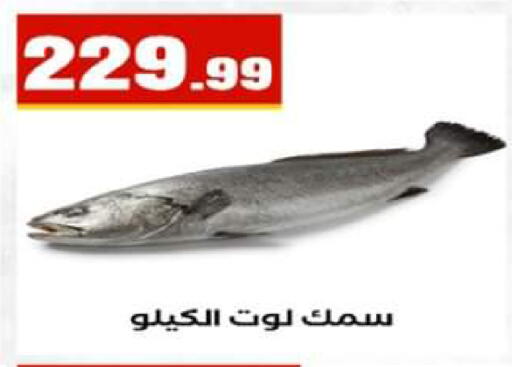 available at El Mahlawy Stores in Egypt - Cairo