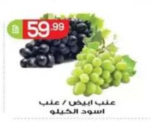available at أولاد المحاوى in Egypt - القاهرة