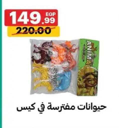 available at Al Habib Market in Egypt - Cairo