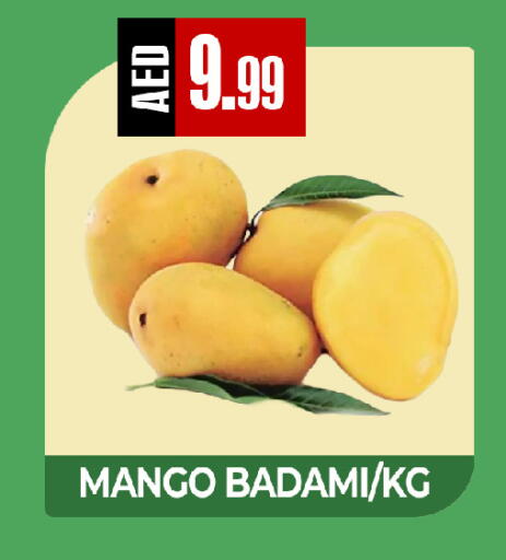 Mango available at  RIVIERA SUPERMARKET L.L.C in UAE - Abu Dhabi