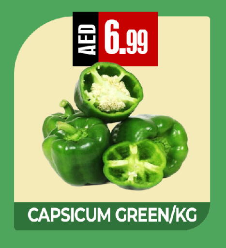 Capsicum available at  RIVIERA SUPERMARKET L.L.C in UAE - Abu Dhabi