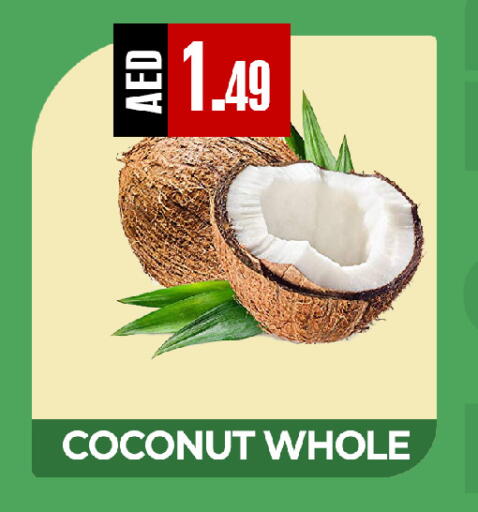 Coconut available at  RIVIERA SUPERMARKET L.L.C in UAE - Abu Dhabi