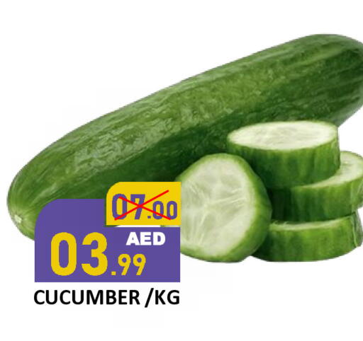 Cucumber available at رويال جلف هايبرماركت in الإمارات العربية المتحدة , الامارات - أبو ظبي
