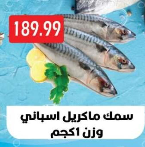 available at Euromarche in Egypt - Cairo