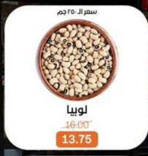 available at Beit El Gomla in Egypt - Cairo