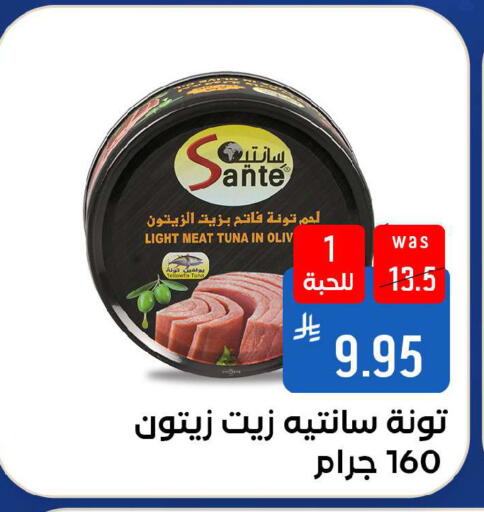 available at شبرا الطائف in مملكة العربية السعودية, السعودية, سعودية - الطائف