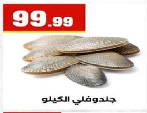 available at El Mahlawy Stores in Egypt - Cairo