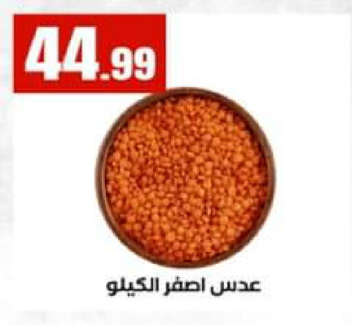 available at El Mahlawy Stores in Egypt - Cairo
