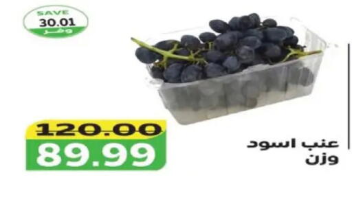 available at The Mart  in Egypt - Cairo