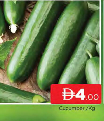 Cucumber available at AL MADINA (Dubai) in UAE - Dubai