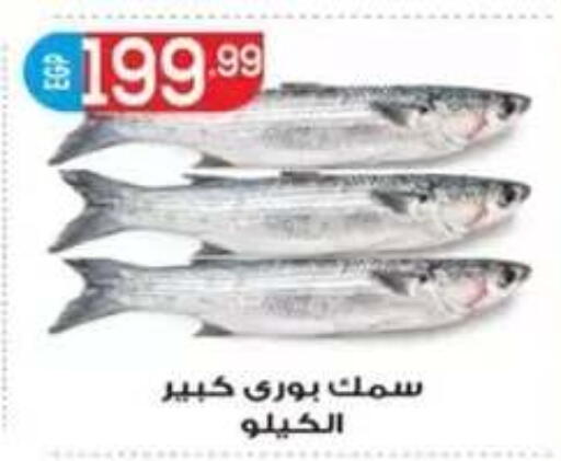 available at أولاد المحاوى in Egypt - القاهرة
