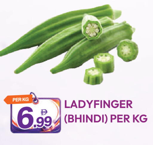 available at دريم لاند in الإمارات العربية المتحدة , الامارات - دبي