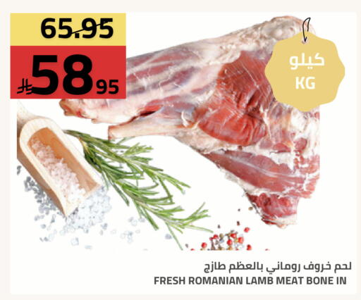 available at أسواق أسترا in مملكة العربية السعودية, السعودية, سعودية - تبوك