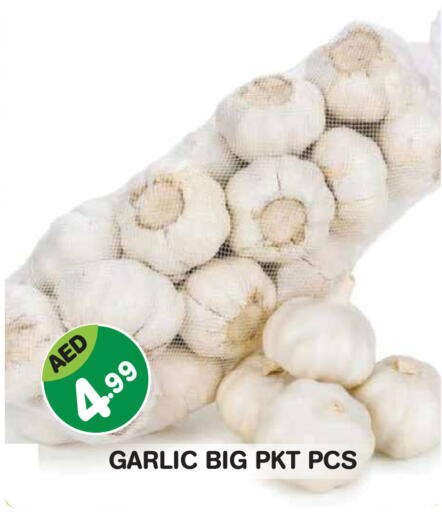Garlic available at Baniyas Spike  in UAE - Abu Dhabi