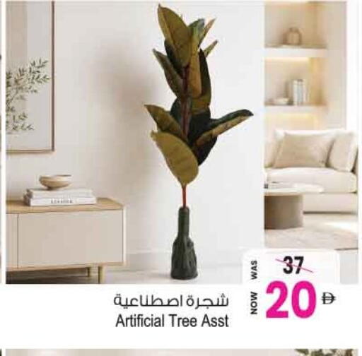available at أنصار مول in الإمارات العربية المتحدة , الامارات - الشارقة / عجمان