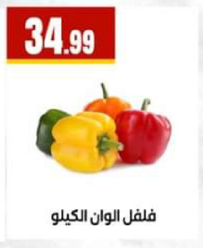 available at El Mahlawy Stores in Egypt - Cairo