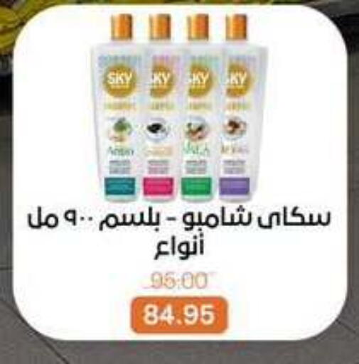 available at Beit El Gomla in Egypt - Cairo