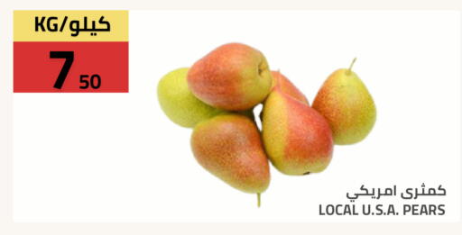 available at أسواق أسترا in مملكة العربية السعودية, السعودية, سعودية - تبوك