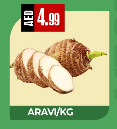 available at  RIVIERA SUPERMARKET L.L.C in UAE - Abu Dhabi