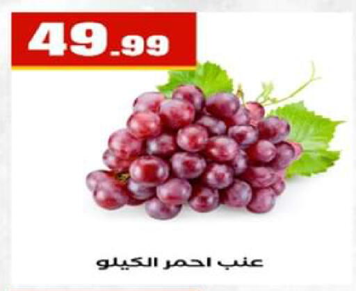 available at El Mahlawy Stores in Egypt - Cairo