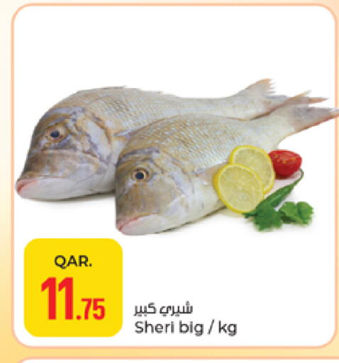 available at Paris Hypermarket in Qatar - Doha