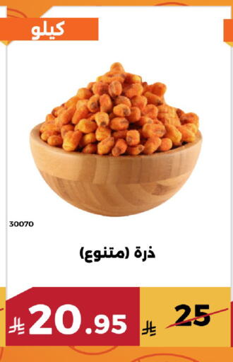 available at Forat Garden in KSA, Saudi Arabia, Saudi - Mecca