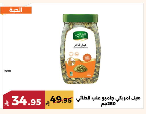 available at Forat Garden in KSA, Saudi Arabia, Saudi - Mecca