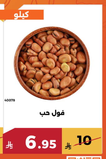 available at Forat Garden in KSA, Saudi Arabia, Saudi - Mecca