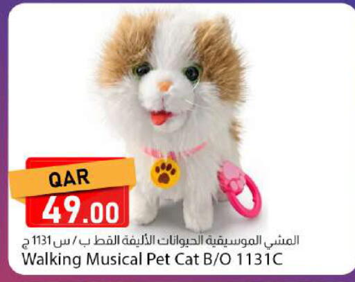 available at دانا ماركت in قطر - الريان