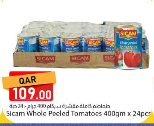 Tomato available at دانا ماركت in قطر - الريان