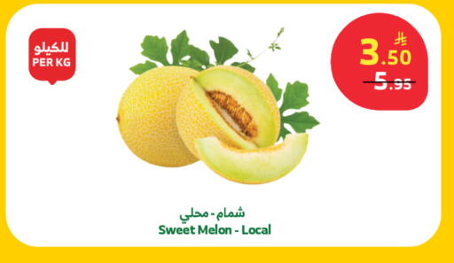 Melon available at Al Raya in KSA, Saudi Arabia, Saudi - Tabuk