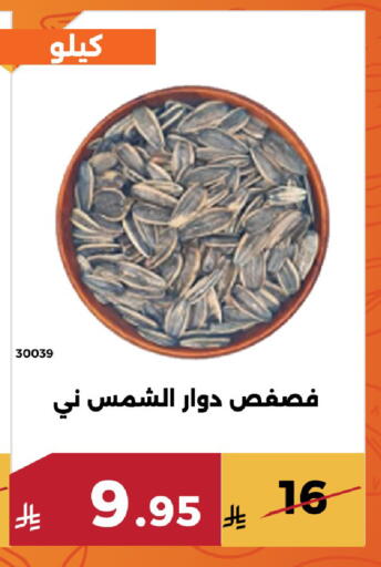available at Forat Garden in KSA, Saudi Arabia, Saudi - Mecca